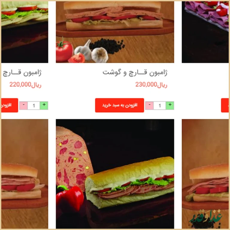 ساندویچ هایدا هروی