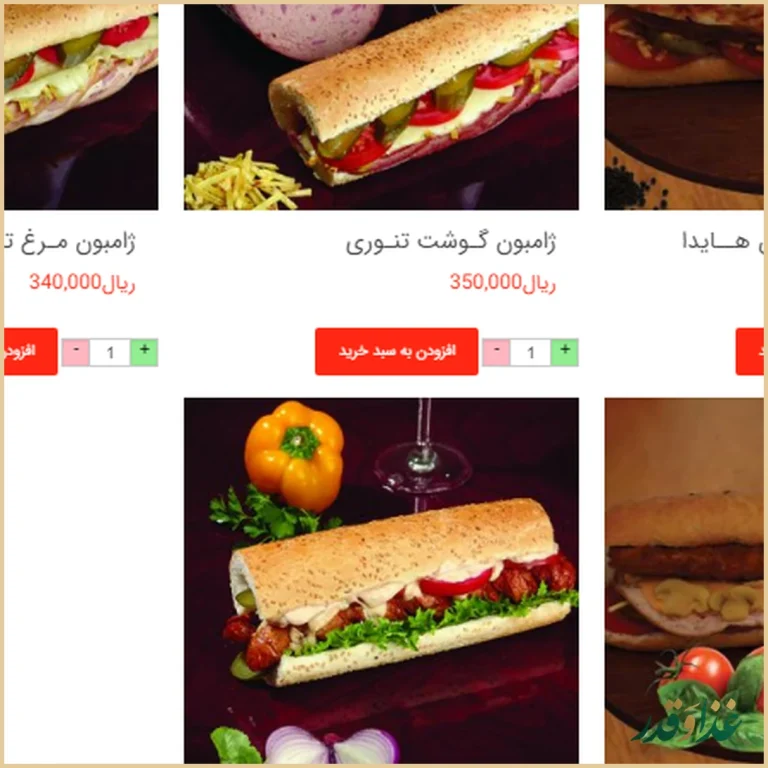 ساندویچ هایدا هروی