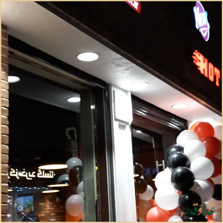 ساندویچ هایدا هروی