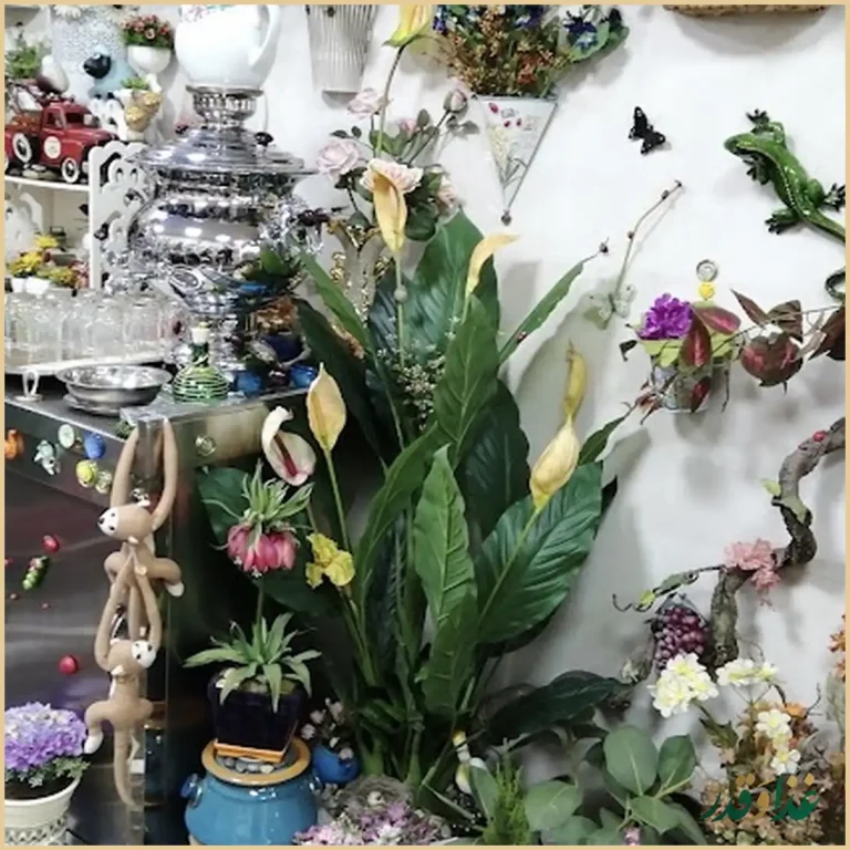 طباخی منصور