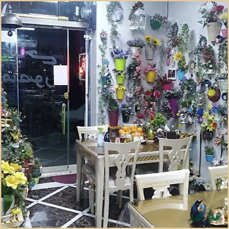 طباخی منصور