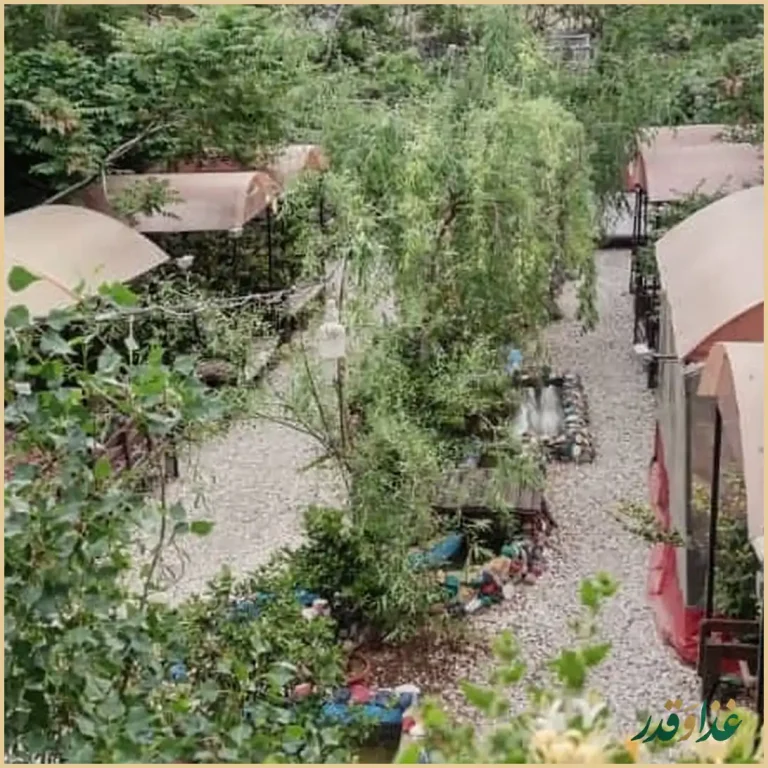 باغچه رستوران زیتون فرحزاد