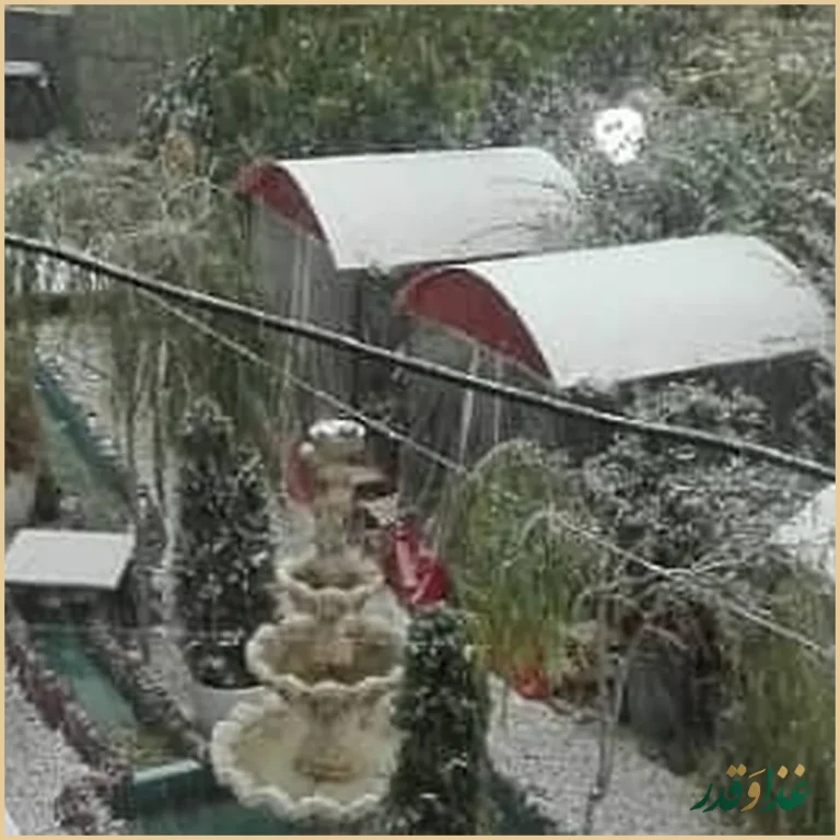 باغچه رستوران زیتون فرحزاد