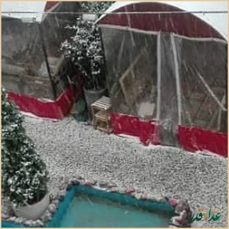 باغچه رستوران زیتون فرحزاد