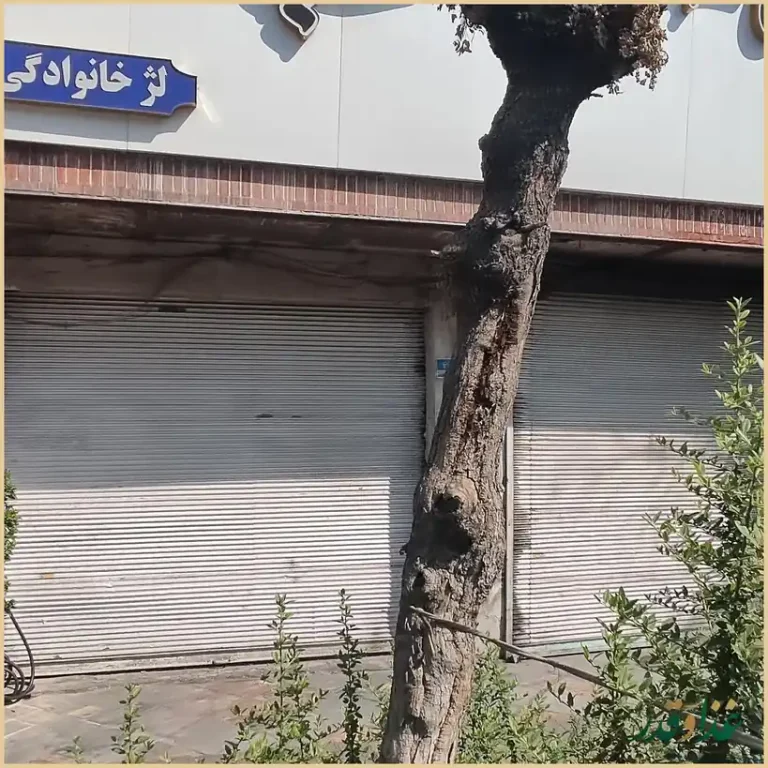 رستوران پرستو