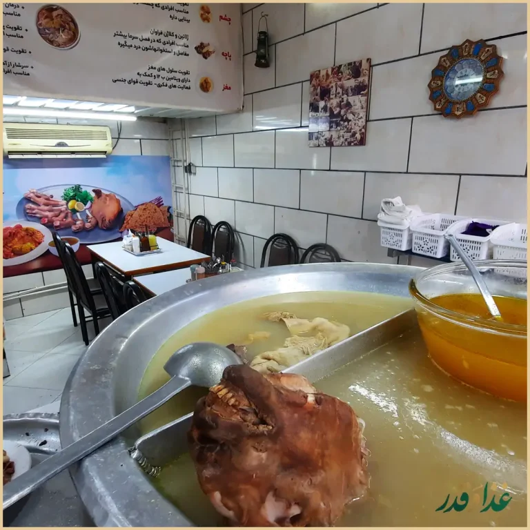 طباخي فانوس