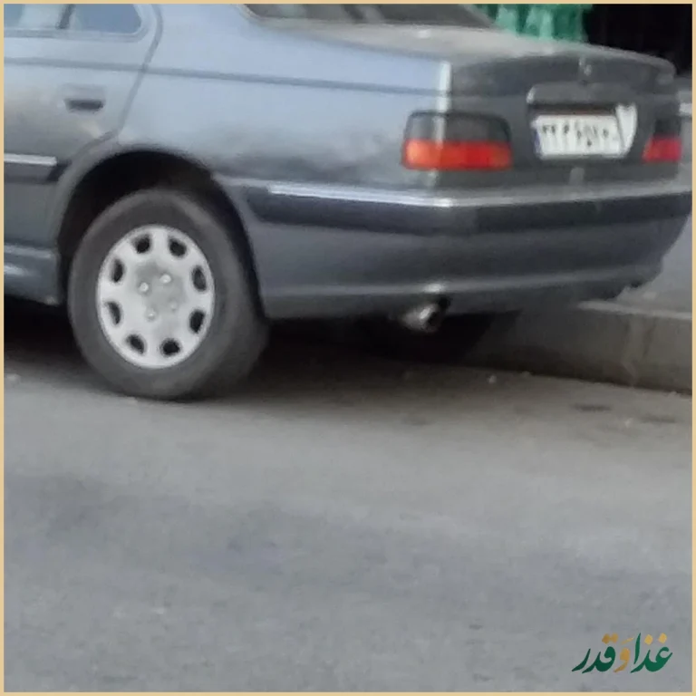 ساندویچی علی