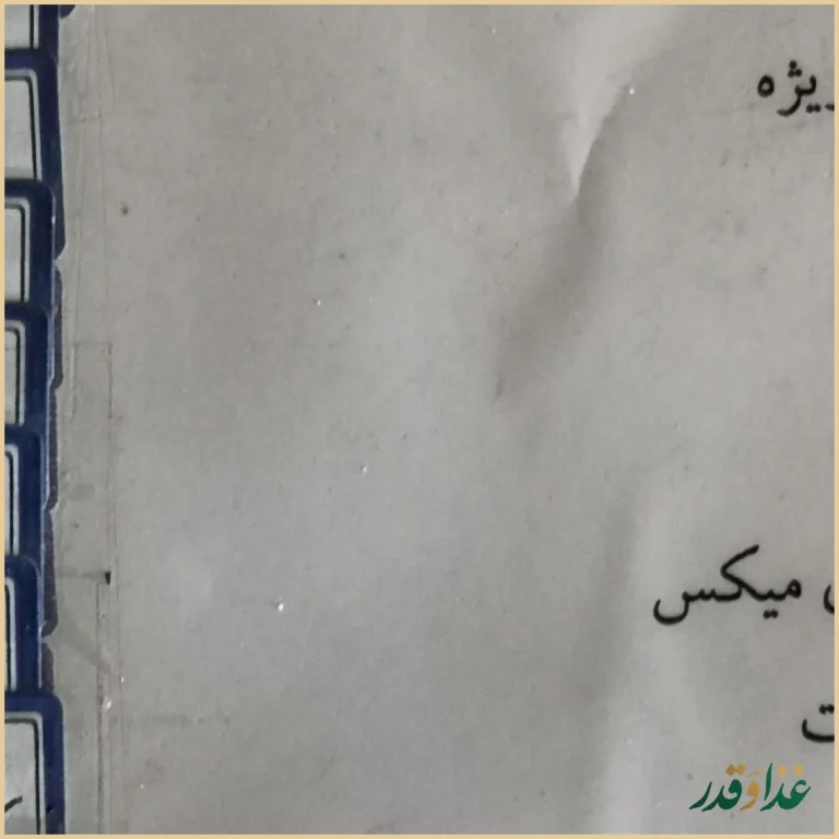 فست فود دلمون