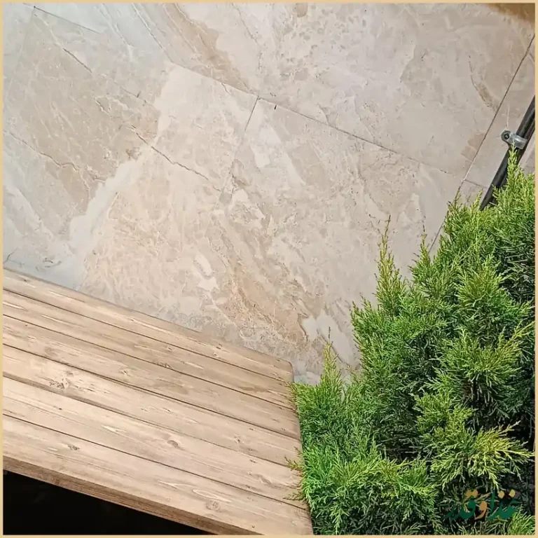 فست فود وودی