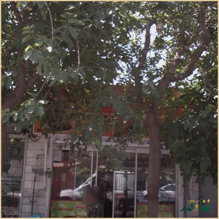 کبابی مختاری