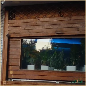 رستوران طعم ماندگار