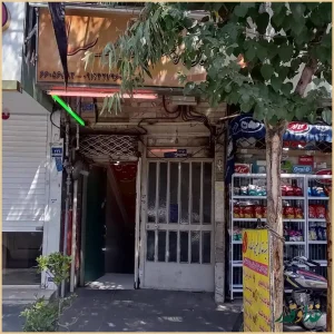 نگین پخت پارسا