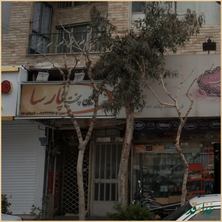 نگین پخت پارسا