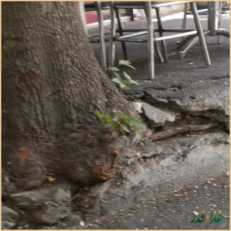 کبابی دهکده