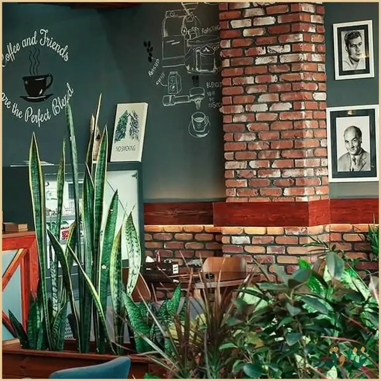 کافه هیرو کام