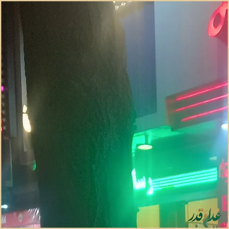 فست فود هایدا