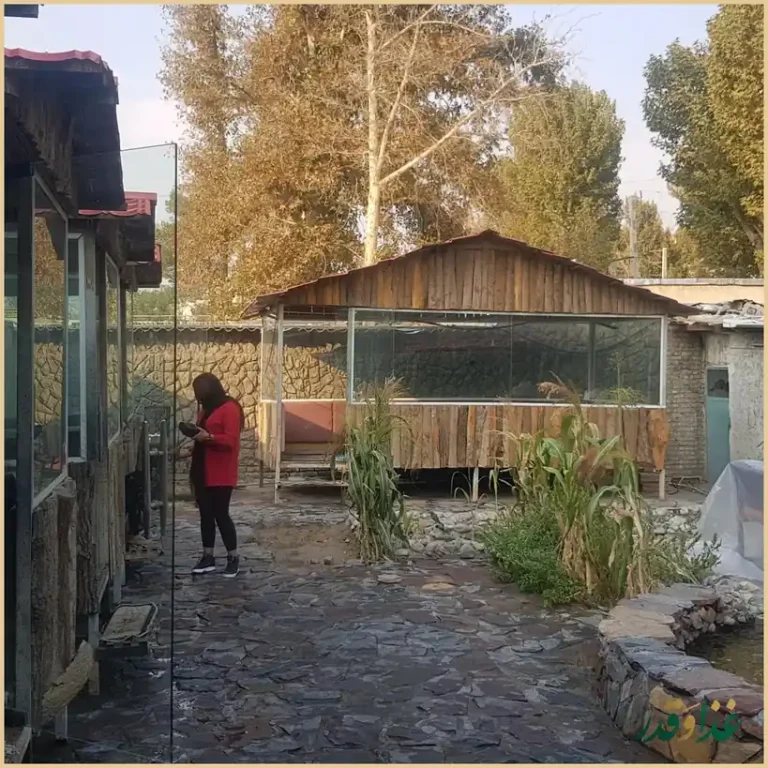 جگرسرا گل یخ