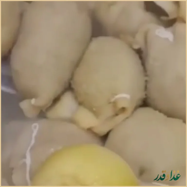 طباخی لیموترش