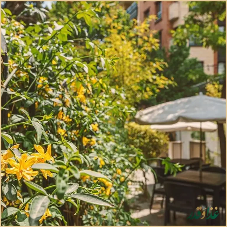 کافه گالری هاگ