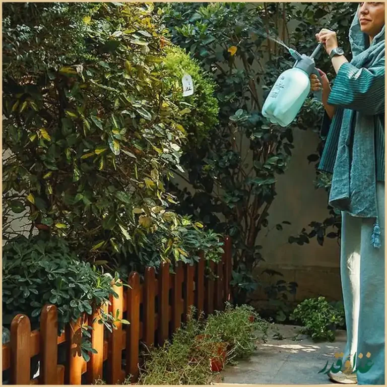 کافه گالری هاگ