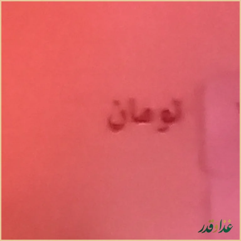 کافه رستوران گل رضائیه