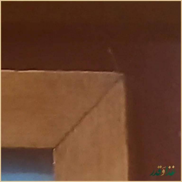 کافه رستوران گل رضائیه