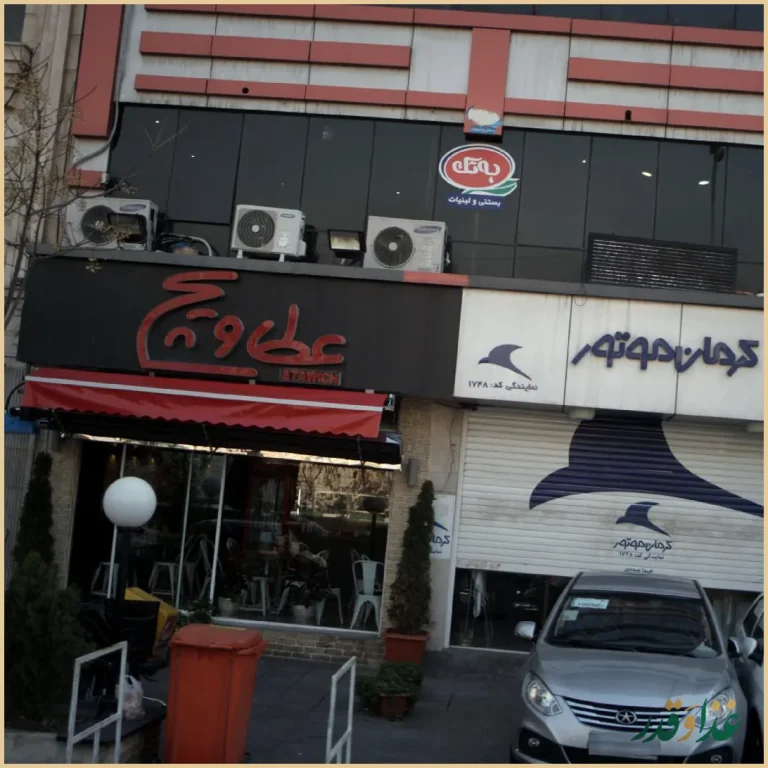 عطاویچ پونک