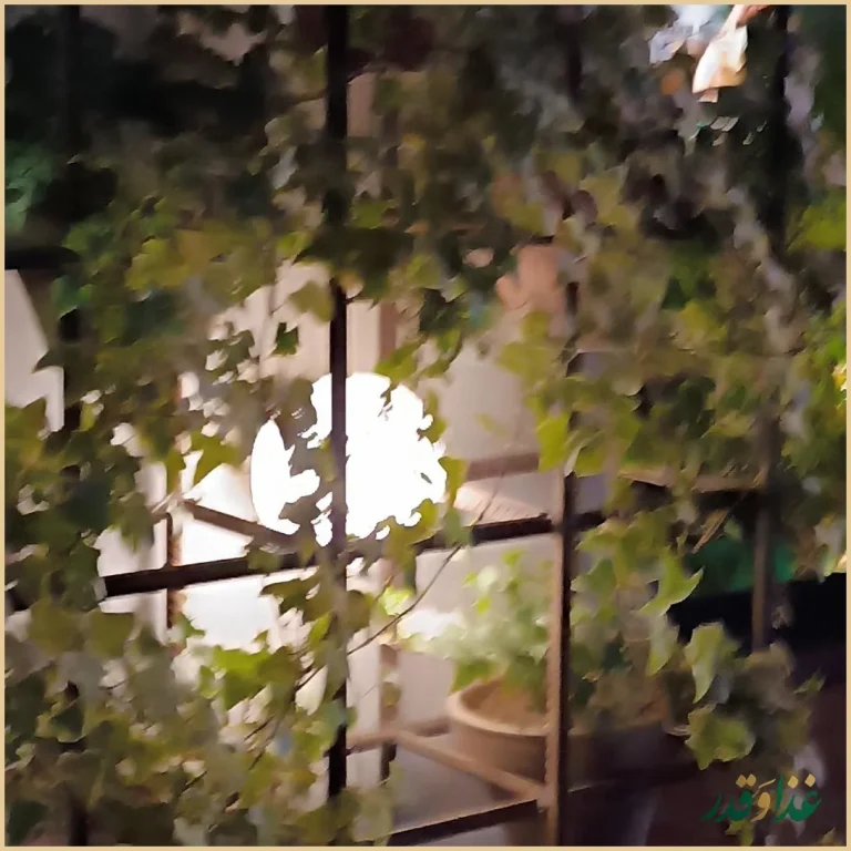 فست فود دونر گاردن پاسداران