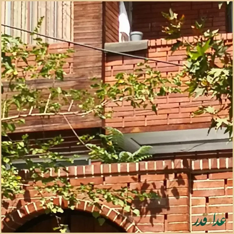 کافه رستوران گرویتی