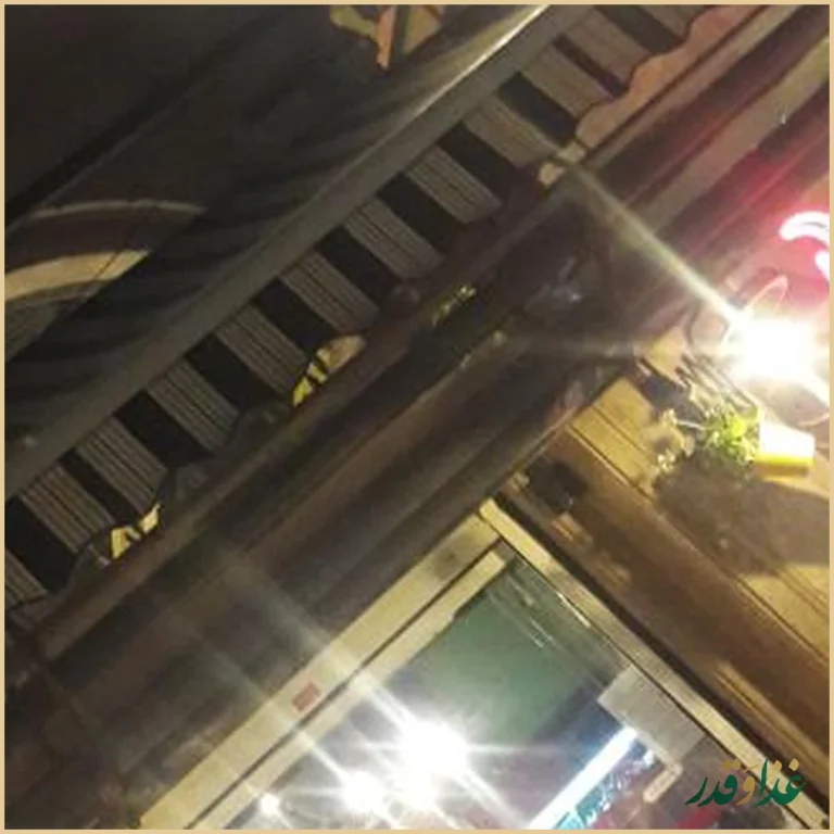 فست فود د ل پ