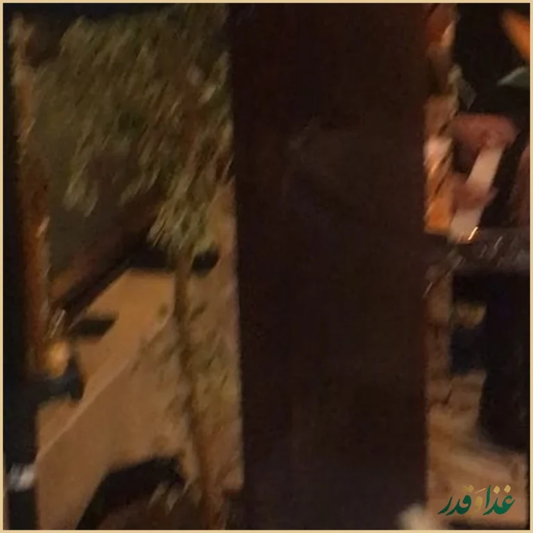 کافه رستوران سنتی دیبا