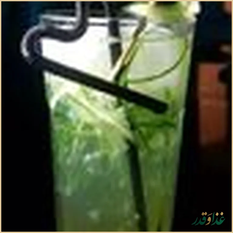 مجموعه رستوران زنجیره ای شاهین