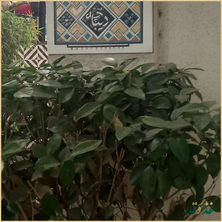 عمارت دیباچه