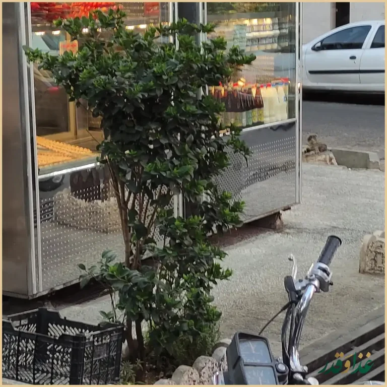 خانه کباب درین