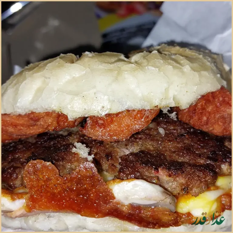 فست فود ایران برگر