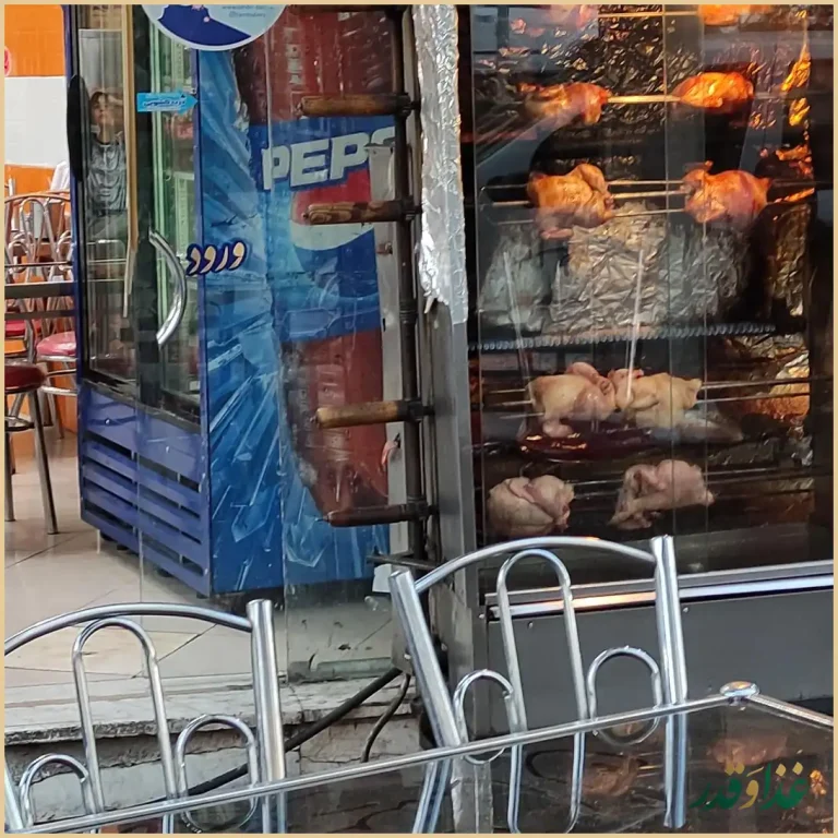 فست و فود هایس برگر