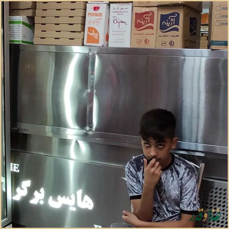 فست و فود هایس برگر