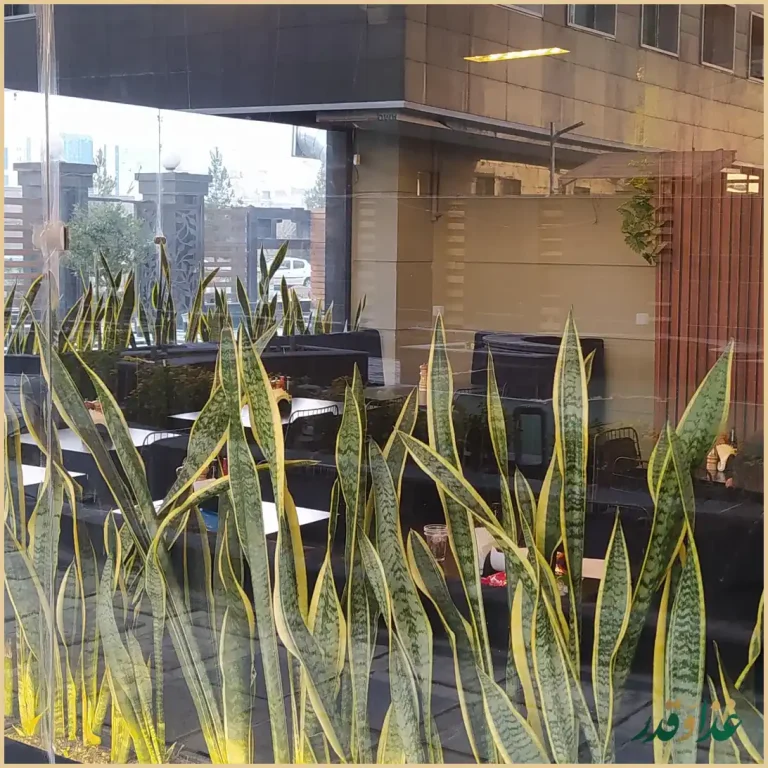 کافه رستوران لارنا