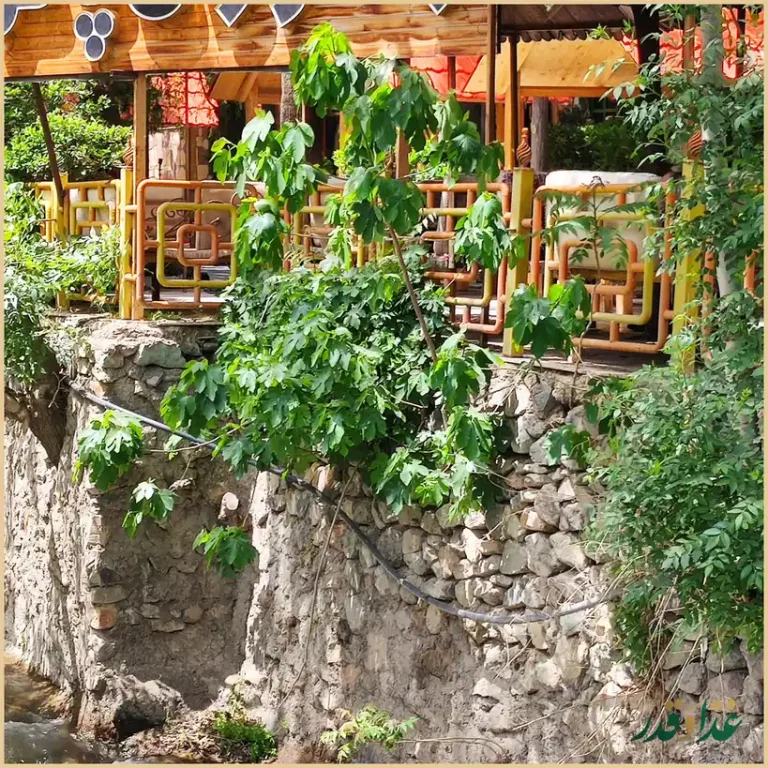 رستوران پاکوپا