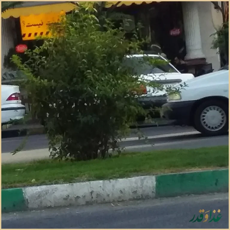 فست فود کره