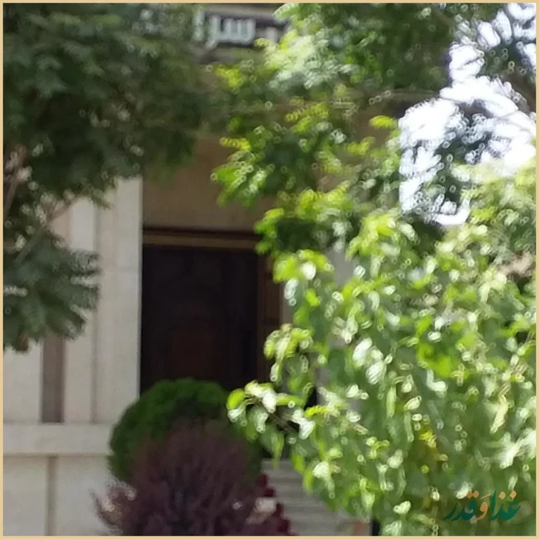 رستوران سر آشپز