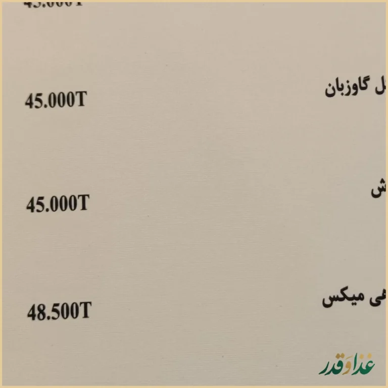 فست فود ژوانی