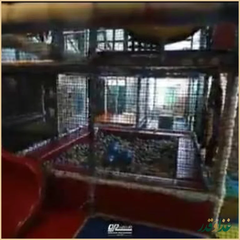 رستوران‌کافه ارکیده شعبه مهستان