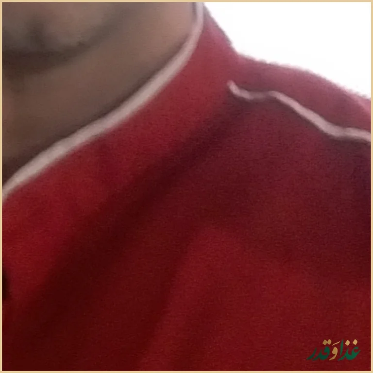 فست فود شمس