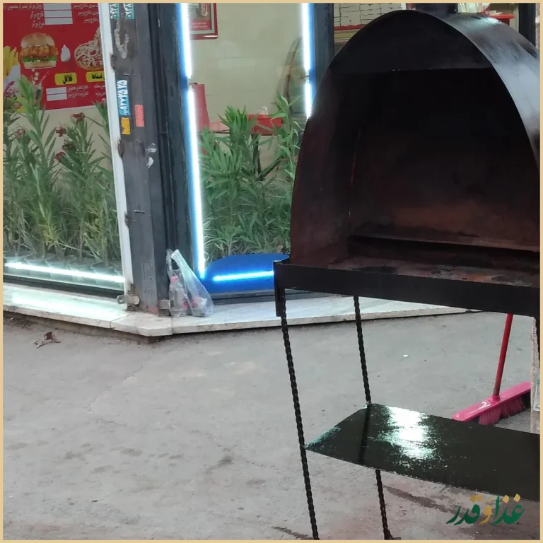 فست فود الان میاره