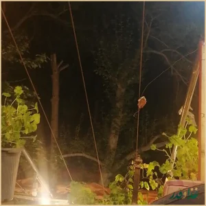 رستوران جوانان ۲