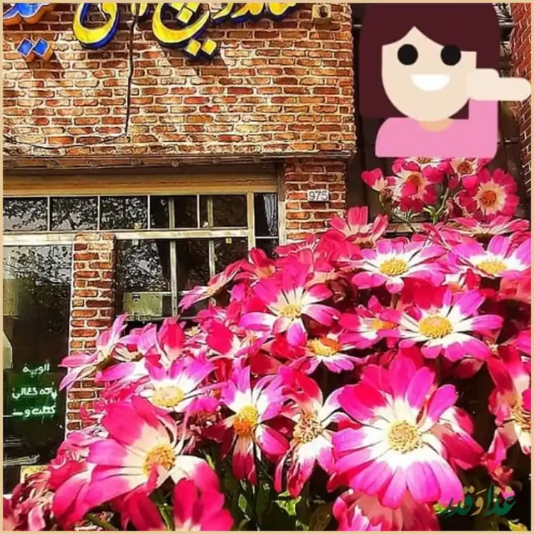 ساندویچ های حمید و مجید