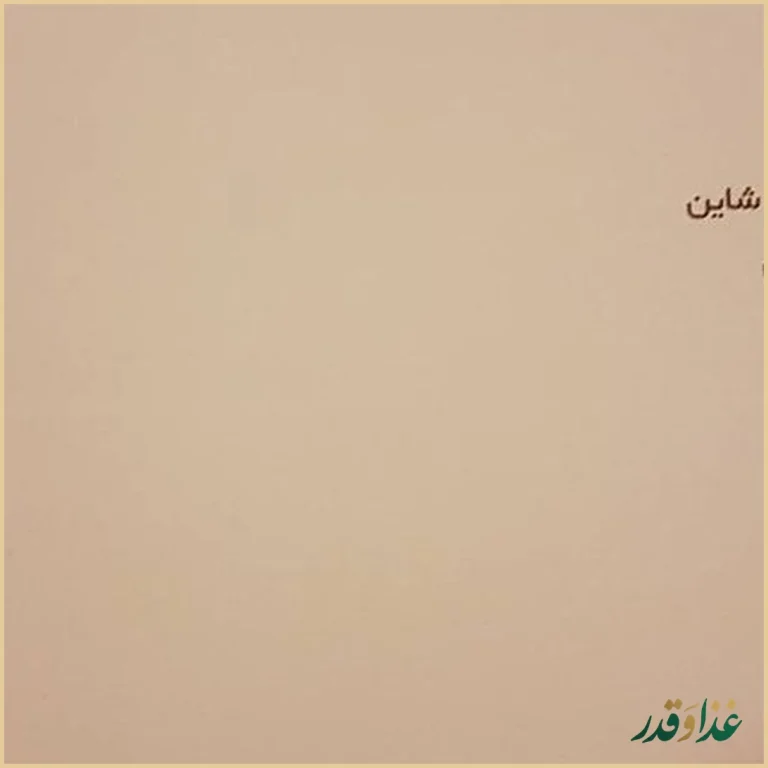 رستوران شاین