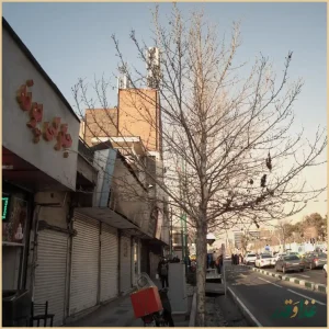 رستوران و جگرکی پونه