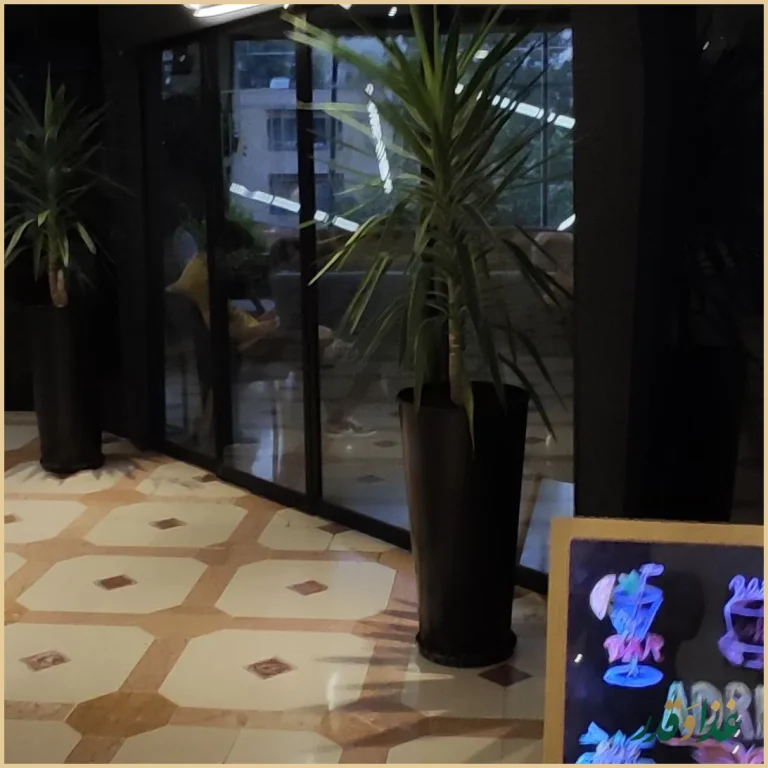 کافه رستوران آدرین